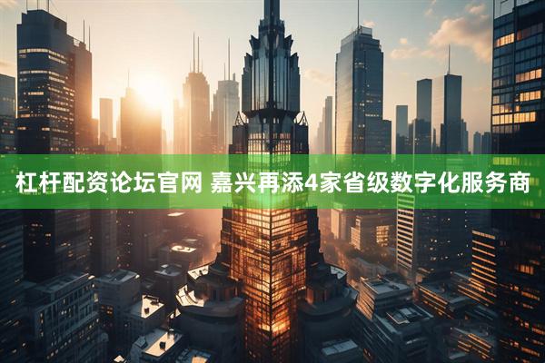 杠杆配资论坛官网 嘉兴再添4家省级数字化服务商